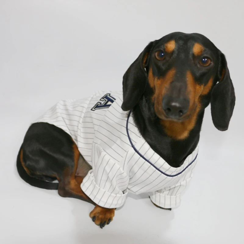 Camiseta a rayas con letras A para perros salchicha, traje Polo sin mangas para primavera y verano, para perros pequeños con salchicha y tejón