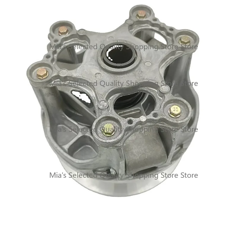 

Primary Drive with Spring and Weights for 2020 2021 2022 1323581 1323583