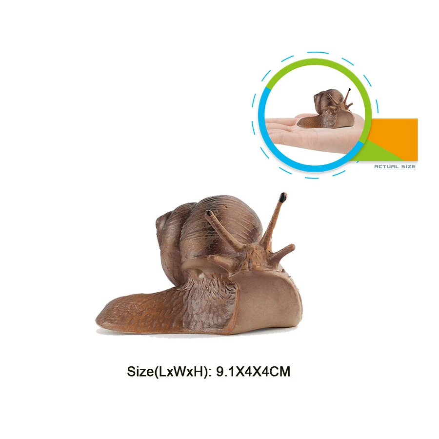 Realistischer Lebenszyklus einer Schnecke, Modellfigur, Schneckenfigur, Partyzubehör, Kuchendeckel, Tischdekoration, Sammlungsspielzeug
