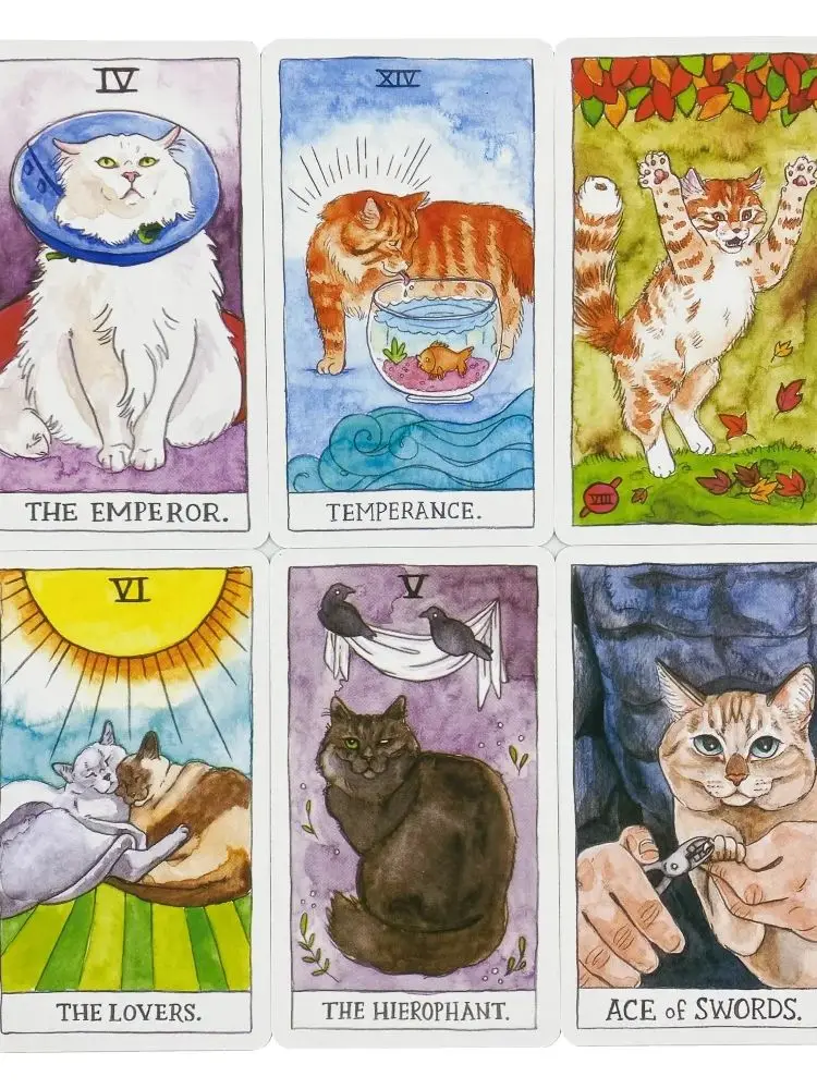 

Веселая карточная игра, игра для вечеринок для веселой семейной игры