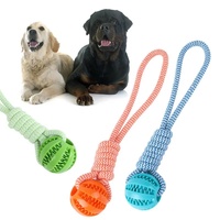 5CM Dog Ball Toy with Rope Interactive Dog Rubber Leaking Balls Toy for Small Large Dog Chewing Bite Resistant Toys Pet Supplies