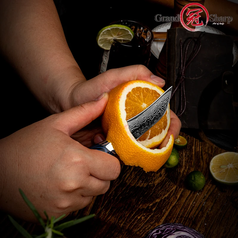 2.7 Inch Paring Knife 67 Layers Damascus Steel Kitchen Knives Fruit Peeler Vegetables Cutlery Tools with G10 Handle Grandsharp