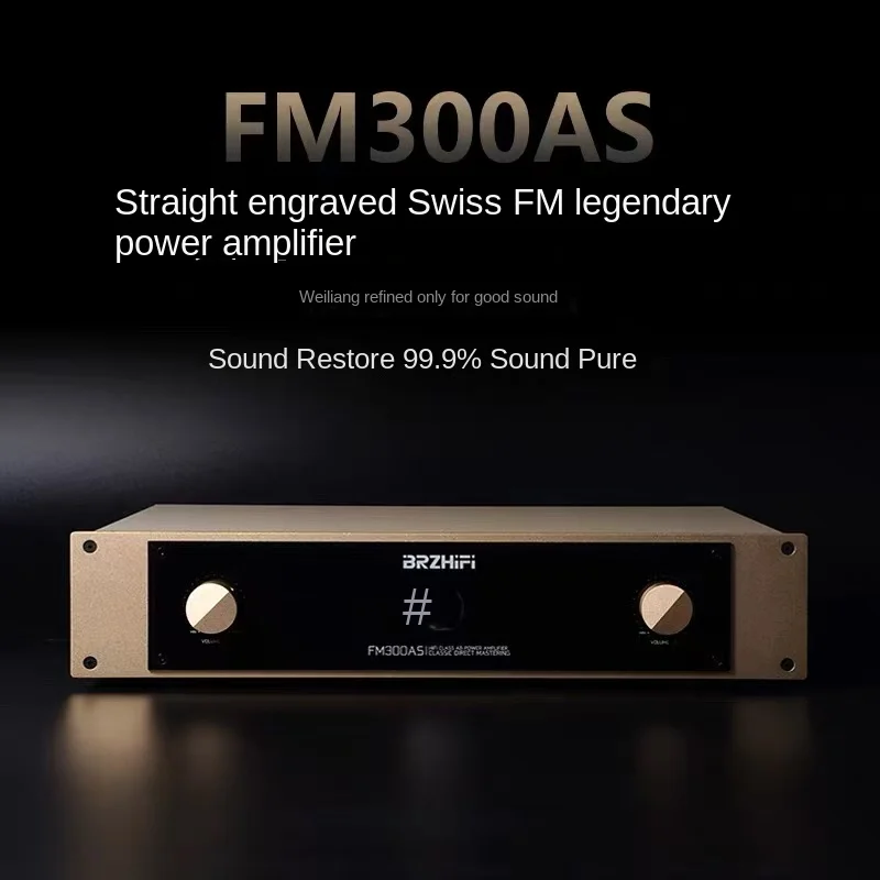استنساخ مباشر من تصميم دائرة FM السويسرية مضخم طاقة عالي FM300AS Audiophile الصف Hi-Fi فئة A/B مكبر كهربائي