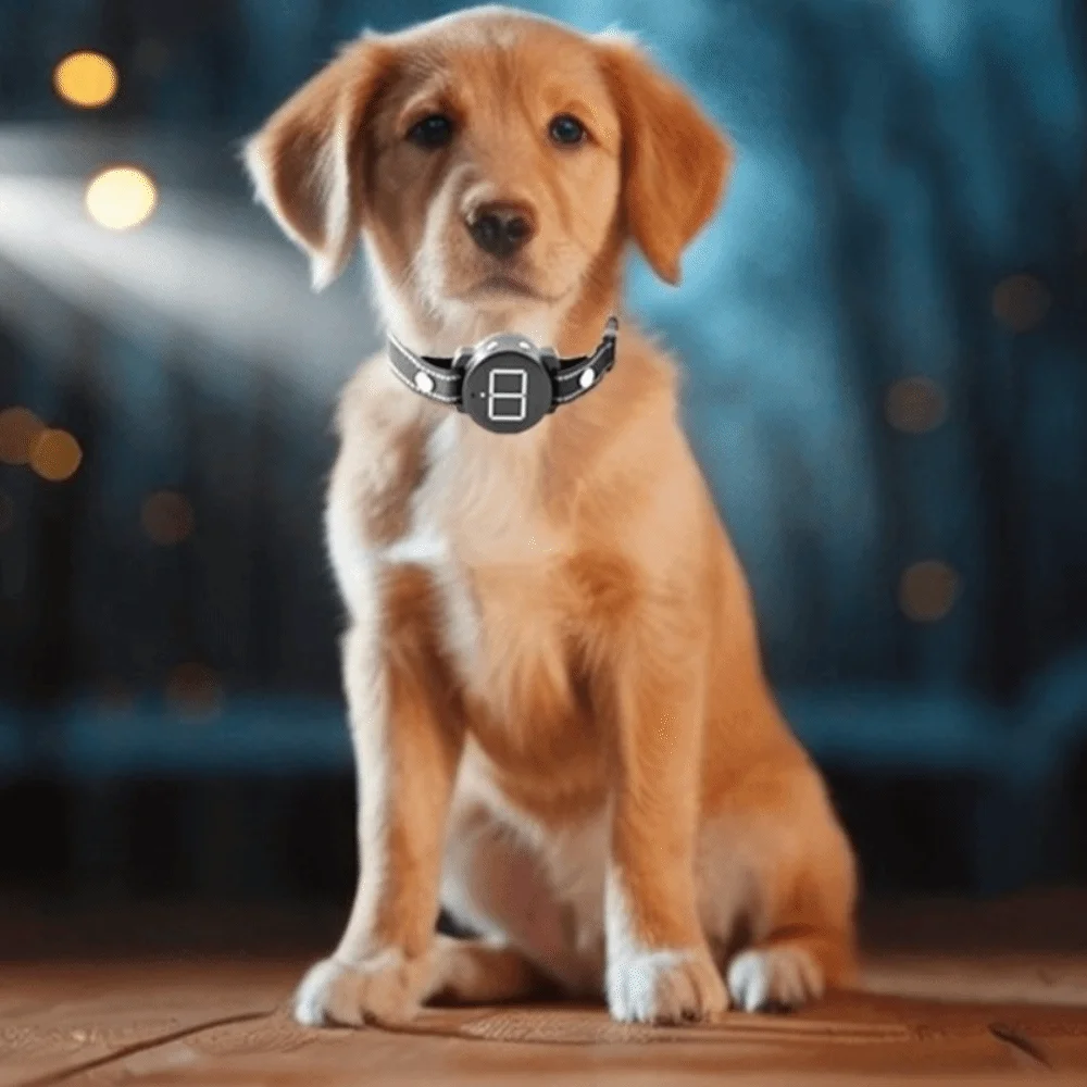 

Rechargeable Smart Dog Anti Bark Device Waterproof Vibration Mode Electric Anti Bark Collar Beep Mode Remote Control