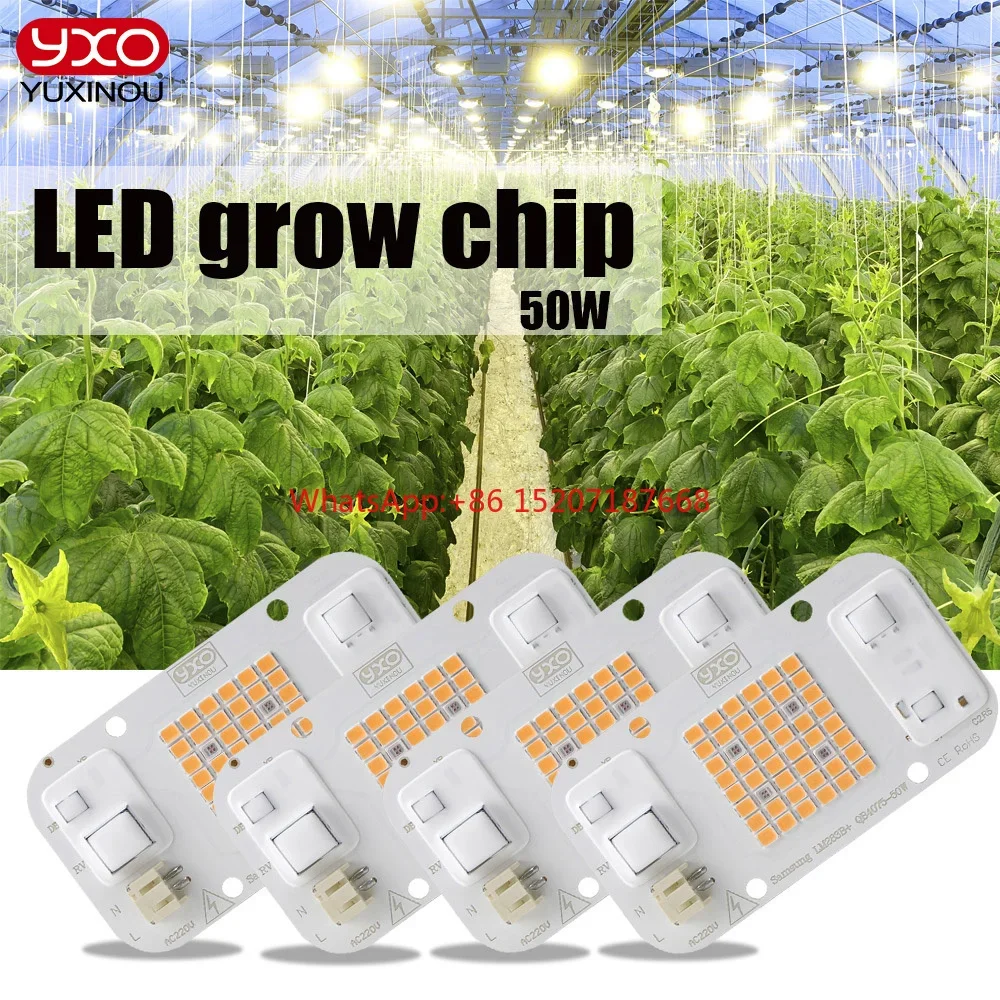 Bahçecilik kapalı bitki büyümek ışık COB LED çip 50w tam spektrum + 660nm bitki büyümek için LED COB çip Linghting çip DIY AC220V