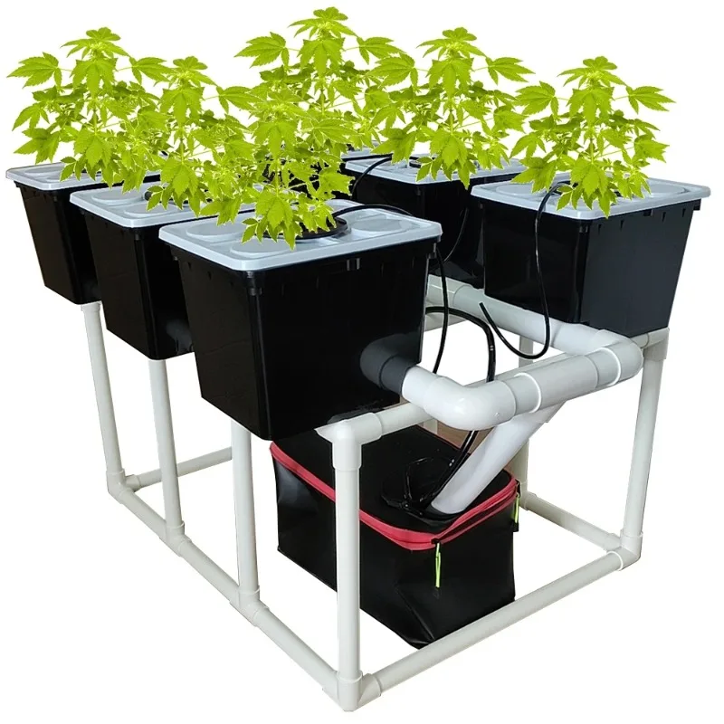 

Dutch barrel system 6-barrel standing drip irrigation tank pump for efficient cultivation of tomatoes and strawberries