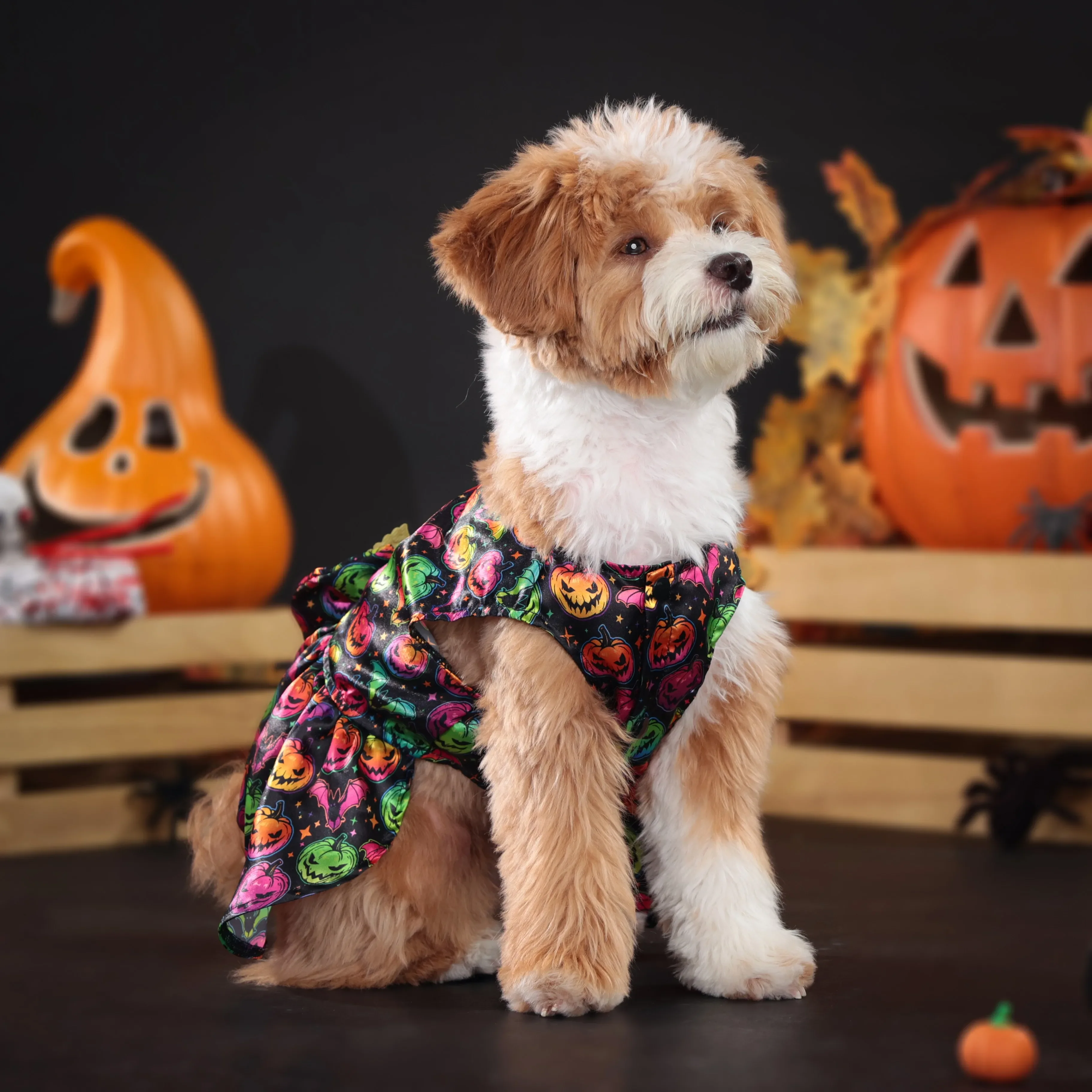 New Fun Dog Skeleton Halloween Costume Pet Lace Hair Proof Pumpkin Butterfly Dress Dog Clothes Gift