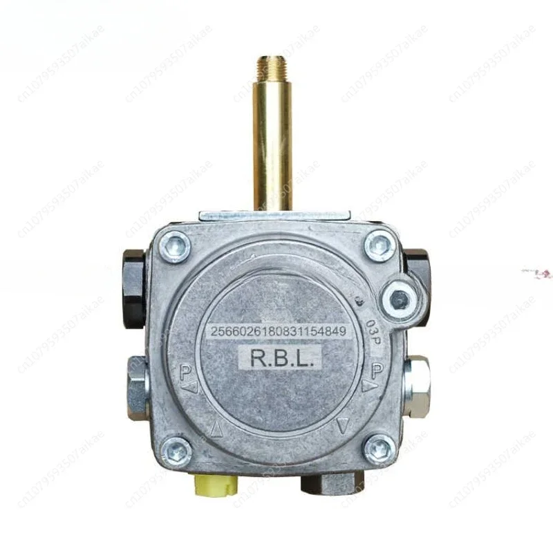 Original Imported Riel Burner Oil Pump Burner Accessories 40G Diese Pressure Pump