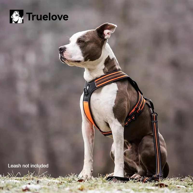 Truelove Nicht-reflektierende PU-Leder Hundeweste, Ausbruchsicher, Verstellbar, Anti-Zug Hundegeschirr für Outdoor-Aktivitäten, Ausverkauf TLH5551
