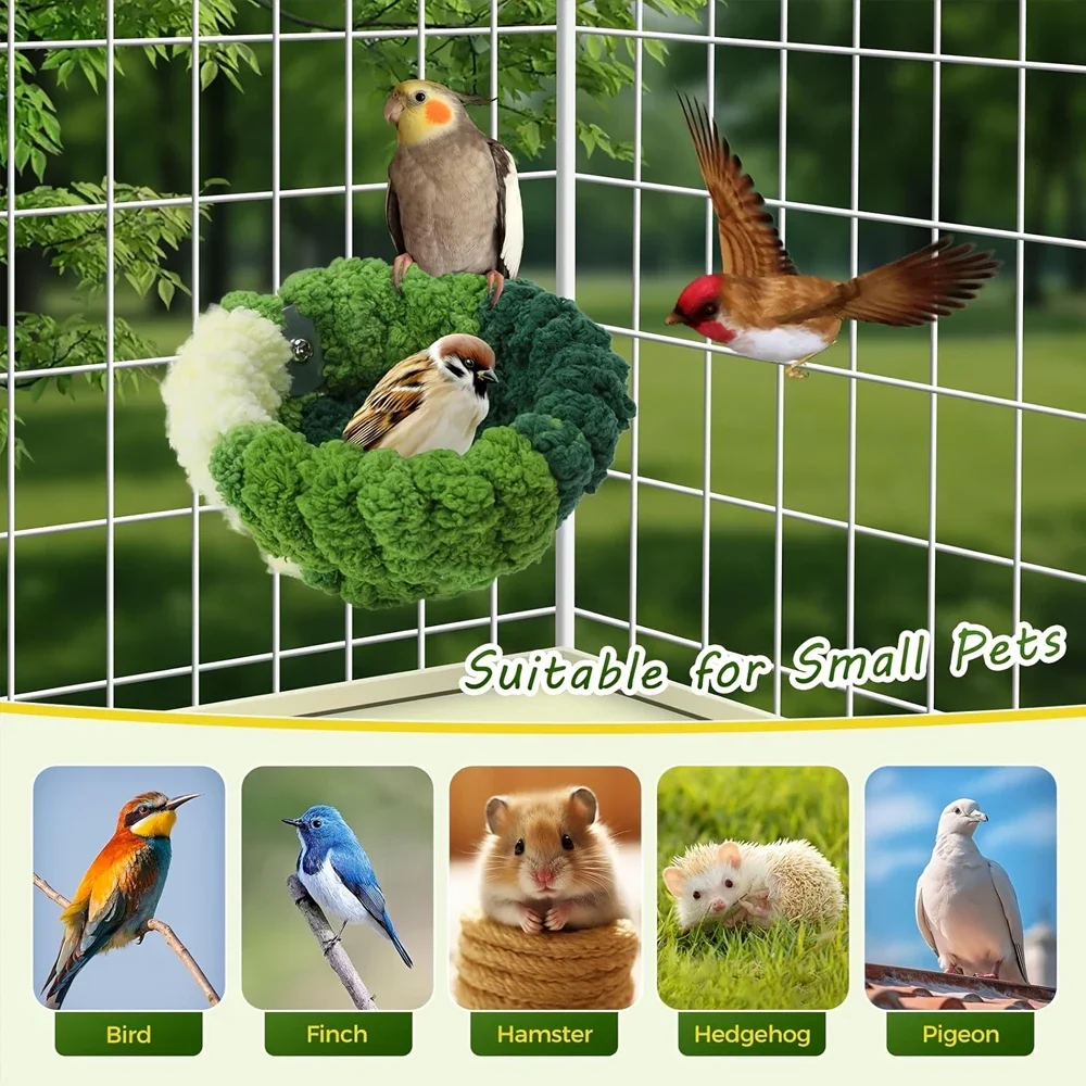 Thumbnail 4 - #4 Compare Birdhouses Before You Buy
