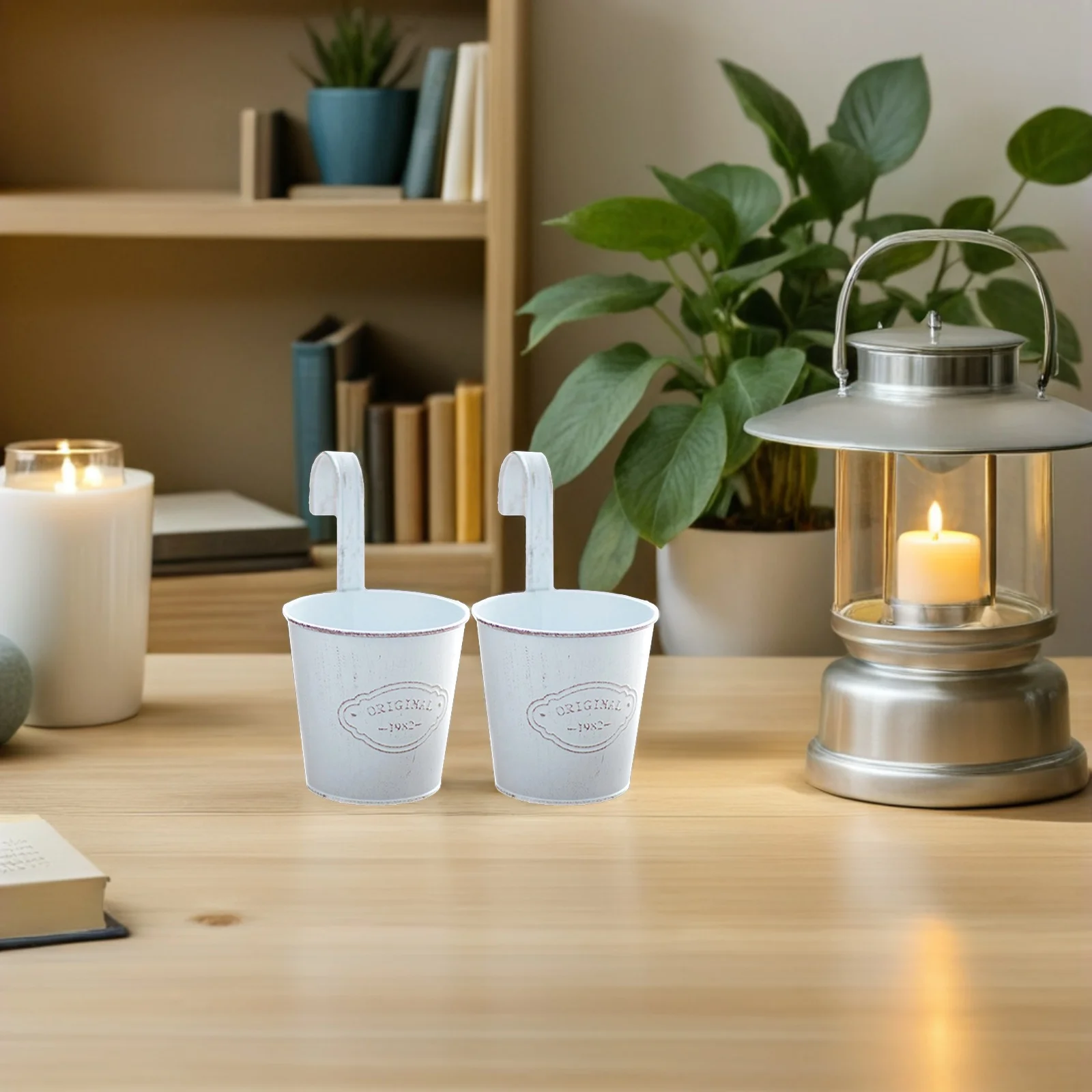 

2Pcs Industrial Style Hanging Bucket Iron Flowerpot for Balcony Decoration Small Planter with Hook for Dried Flowers Bonsai