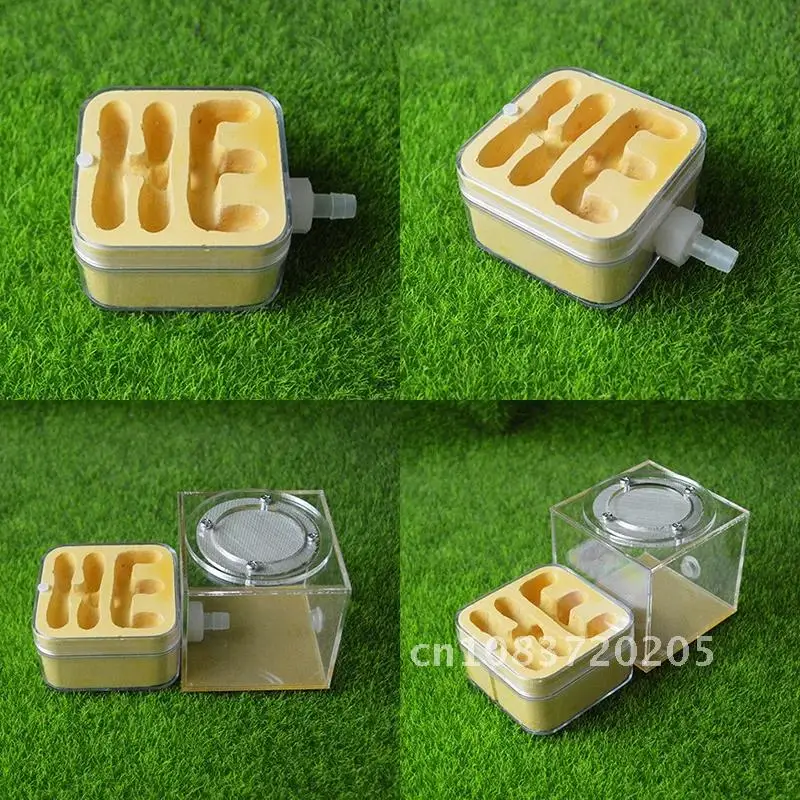 Ant Imitation Ecological Nest Small Plane External Gypsum Ant Nest Hardening DIY Ant Farm Insect Feeding Box