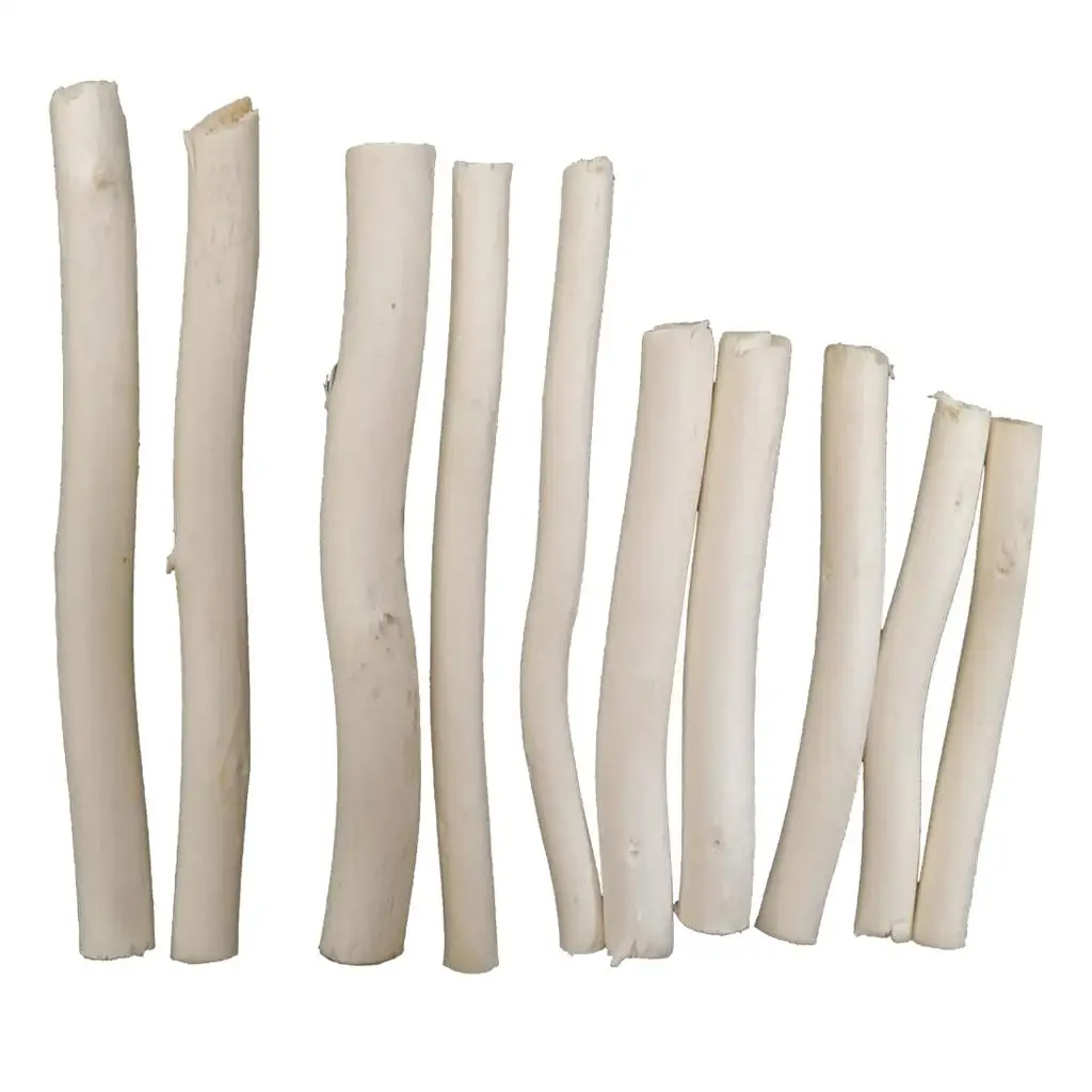 

20 Pcs Natural Tree Branch Wood Sticks DIY Craft Vase Filler Photo Props