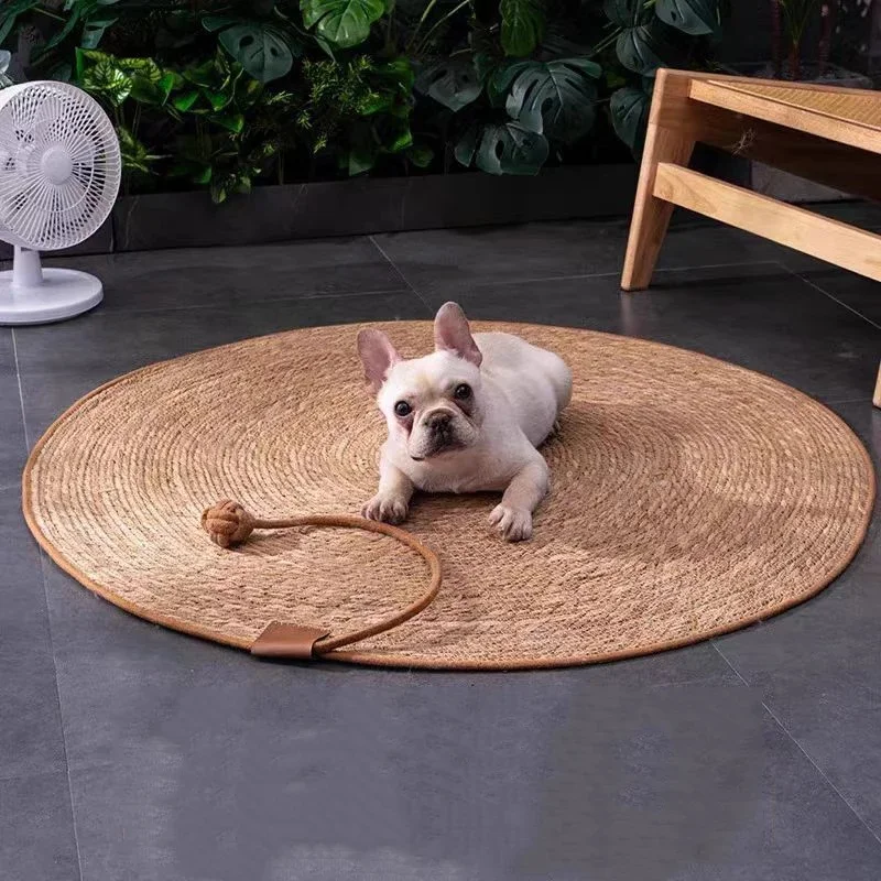Tapis à gratter pour chat en rotin naturel, protection de meubles anti-griffures, jouet anti-rayures pour chat, chaton, petit chien