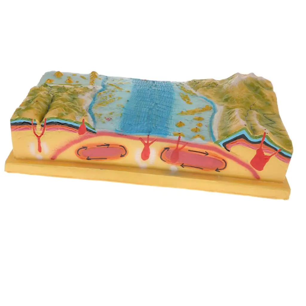 Geology Class Teaching Aids Geography Learning Toy Plate Tectonics Model, Classroom Decoration, Kids Adults Collection