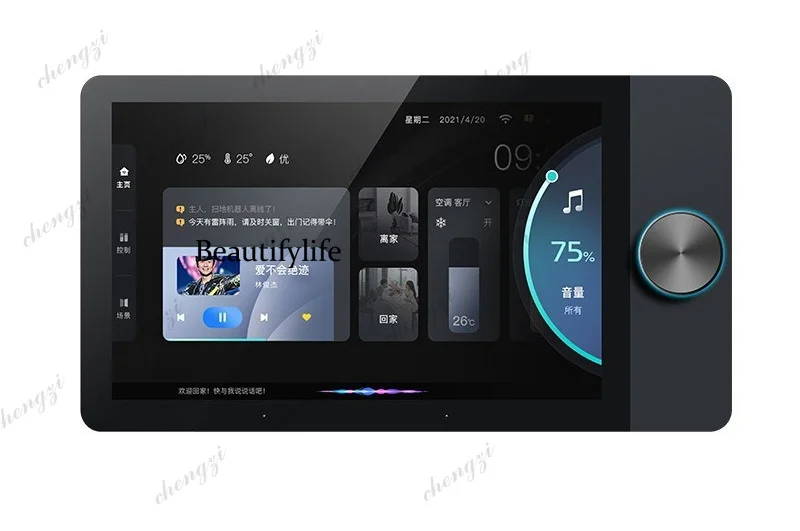 New graffiti smart home 8-inch central control screen background music host built-in control panel