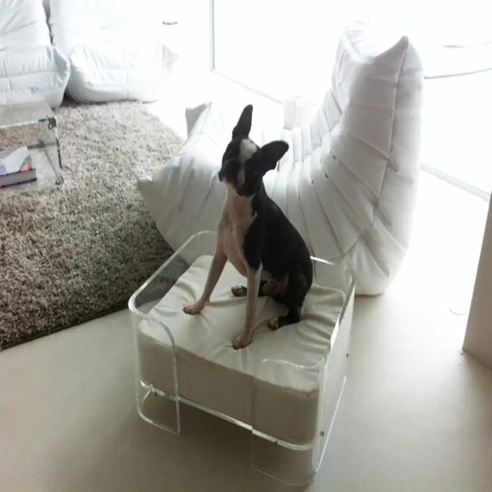 Acrylic Customized Dog House Dog Bed Luxury Pet