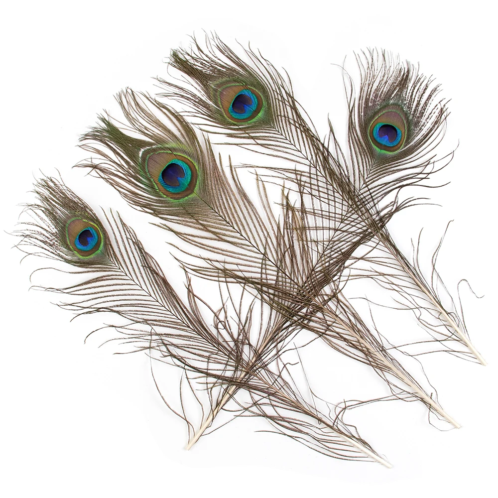 10/50 Pcs Natural Peacock Feathers 25-30cm Big Eye Feather for Wedding Jewelry Making Party Crafts Table Centerpiece Accessories