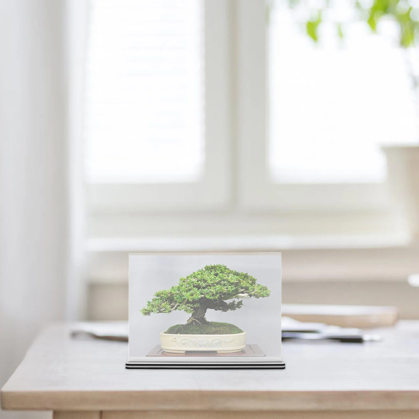 

2 Pcs T-shaped Table Display Card Rack Frame Small Stand Acrylic Postcard Holder