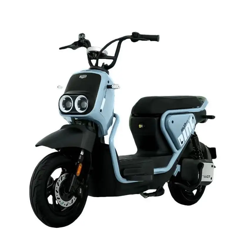 Commuting 500W Electric Vehicle, Pedal Two-wheel Electric Motorcycle