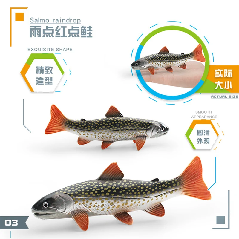 Simulation Marine Animal Cobitis Sinensis Dace Salvelinus Leucomaenis Action Figures Salmon Piranha Miniacture Educational Toys