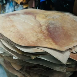 Primary Color Cordovan! Keep scar marks! Vegetable Tanned Horse Butt, 41x55cm, 2.0-2.5mm