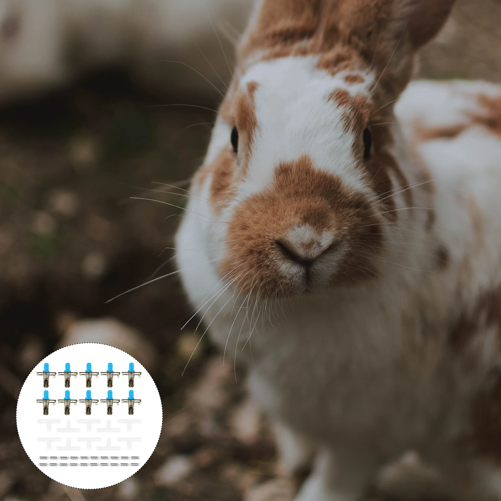 

10pcs Automatic Pet Drinking Feeder Durable Splash-Proof Design For Small Animals Rabbit Spring Design Drinker Rabbit Cage