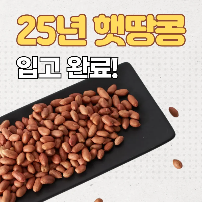 Maní frito 1kg + 1kg total 2kg 25 años NUEVO Maní frito al sol Maní tostado