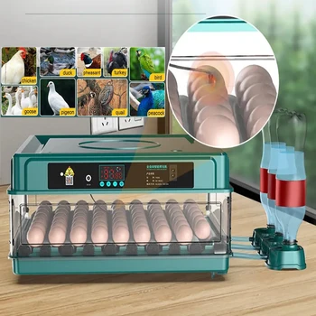 Chicken Egg Automatic Incubator Brooder Poultry Farm Animal Accessories Tools Heating Goose Duck Bird Quail Eggs Light Incubator