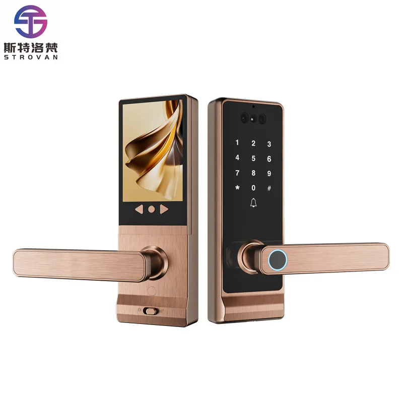 

-Connected Smart Deadbolt Lock 3D Face Recognition Palm Vein Access Peephole Cloud Data for Wood Aluminum Alloy Code