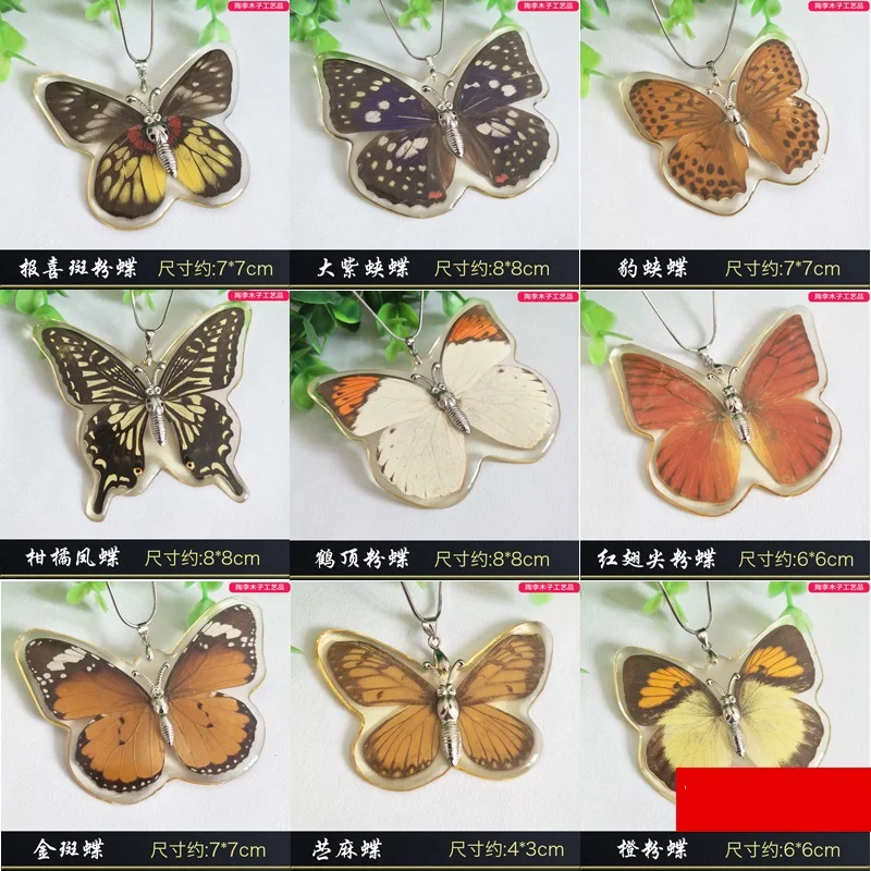 

Real Butterfly Specimen Insect Resin Craft Collection Birthday Wedding Gift anime decor home decore