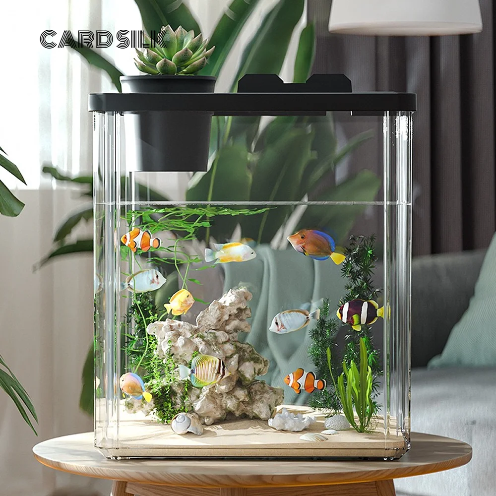 

Acrylic Fish Tank, Clear Desktop Aquarium for Office Decor, Minimalist Design for Relaxation & Visual Enjoyment