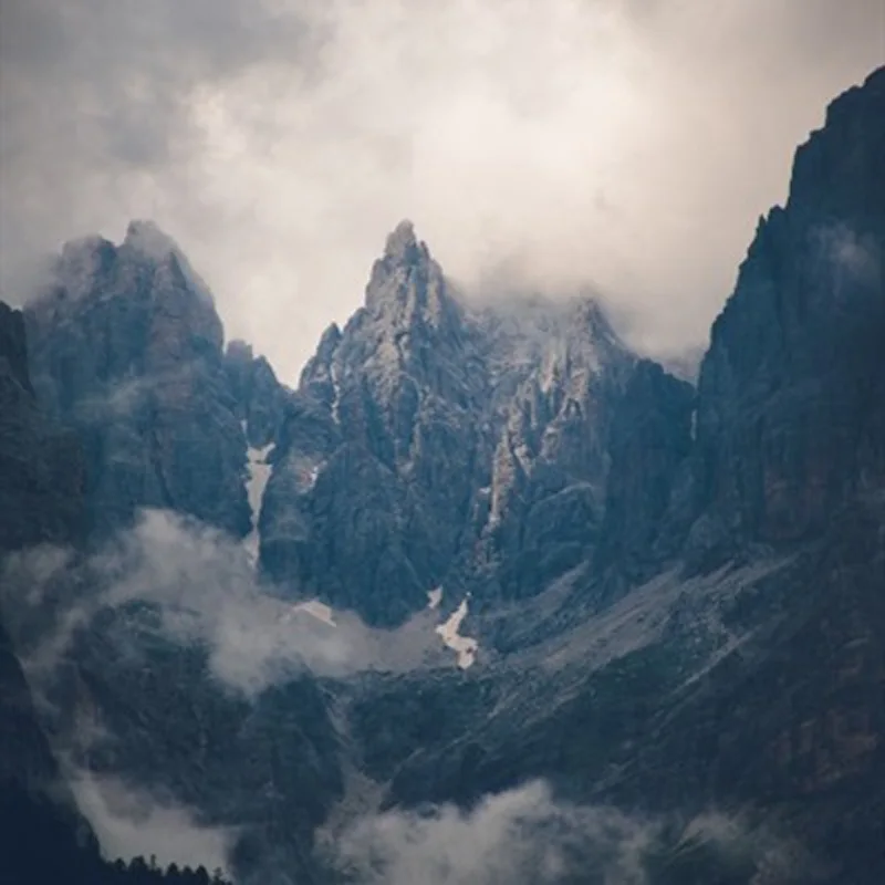 Women Cat Butterfly…