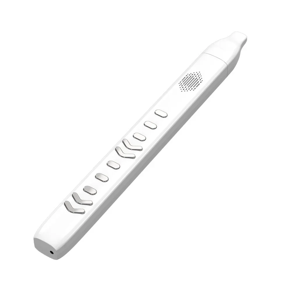 

DC06 Electronic Wind Instrument For The Elderly Saxophone Flute Clarinet Flute Suona Electric Wind Pipe