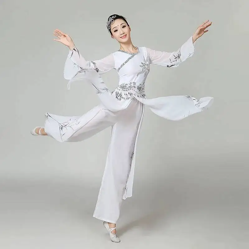 Traditional Classical dancewear chinese folk dance costume for women Water Sleeve dress Yangko Clothing Ancient pant skirt hanfu