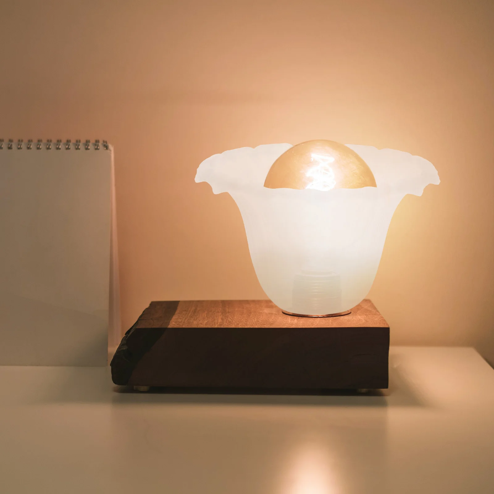 

Glass Lamp Shade Durable European for Ceiling Wall Lamps Decorative Diffuse Lighting Warm Atmosphere