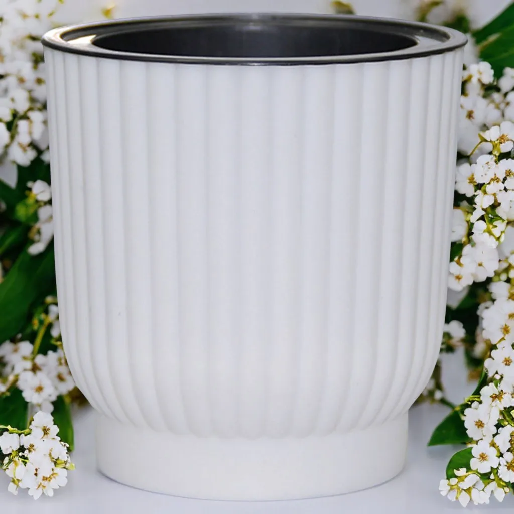 Self Watering Plant Pots for Easy Indoor Gardening
