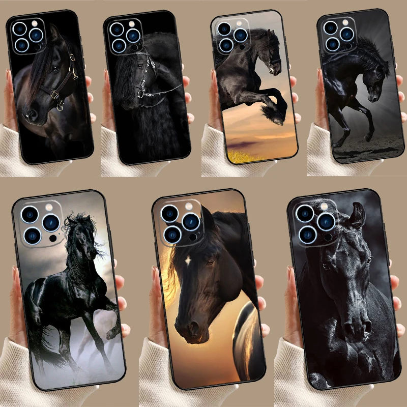 Beautiful Black Hor… - image