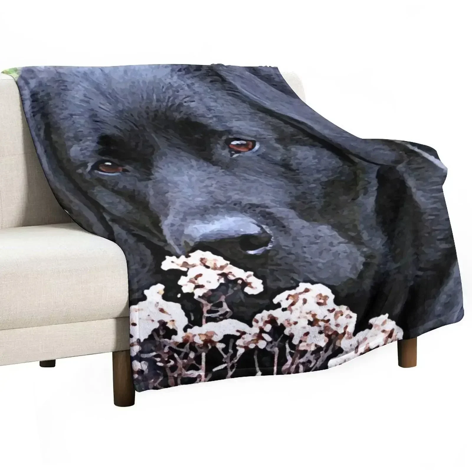 

New Take Time - Black Labrador Throw Blanket Flannel Loose Blankets For Baby Giant Sofa Blankets