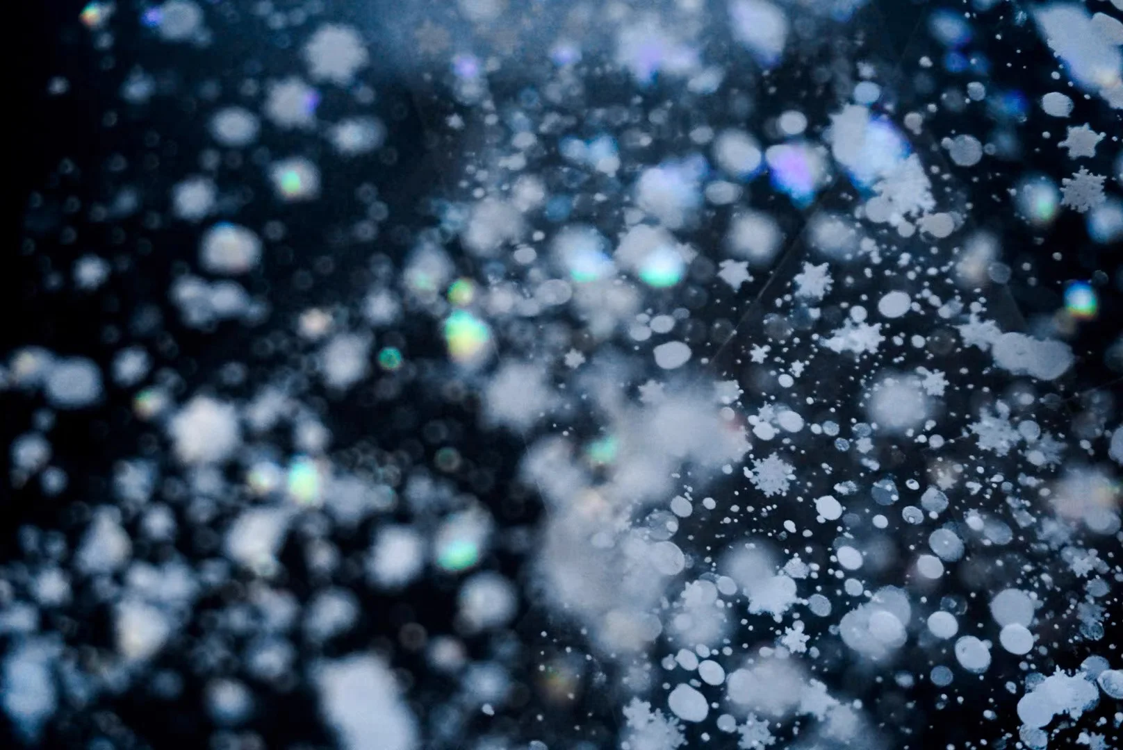 

1 Loop Stardust and Snow, Shell Light Weather Nature Card Sticker Shiny Pet Decorative Tape