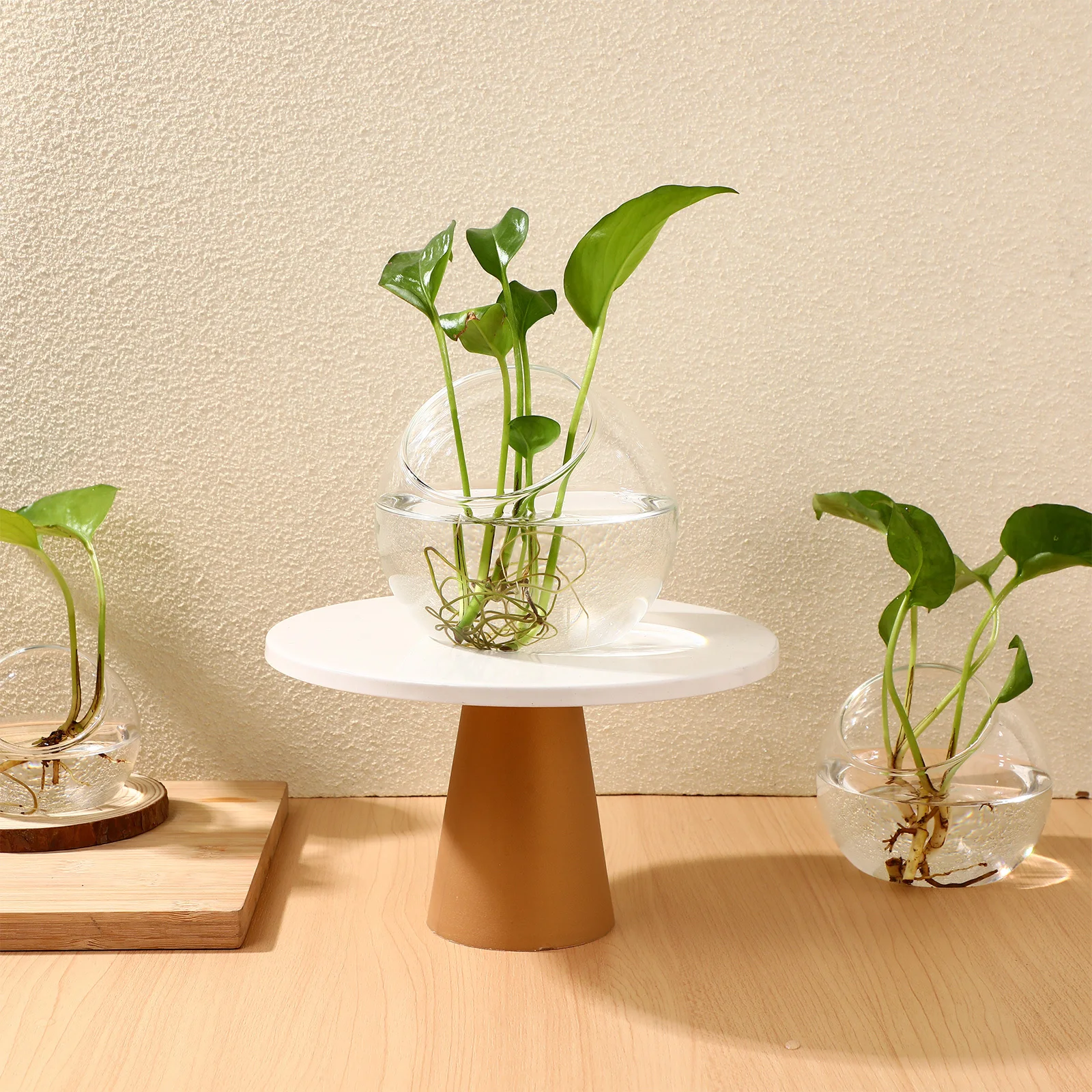 

3Pcs Hydroponic Glass Vases Water Plant Containers Round Terrarium Bowls Desktop Air Plant Planters Home Office Decor