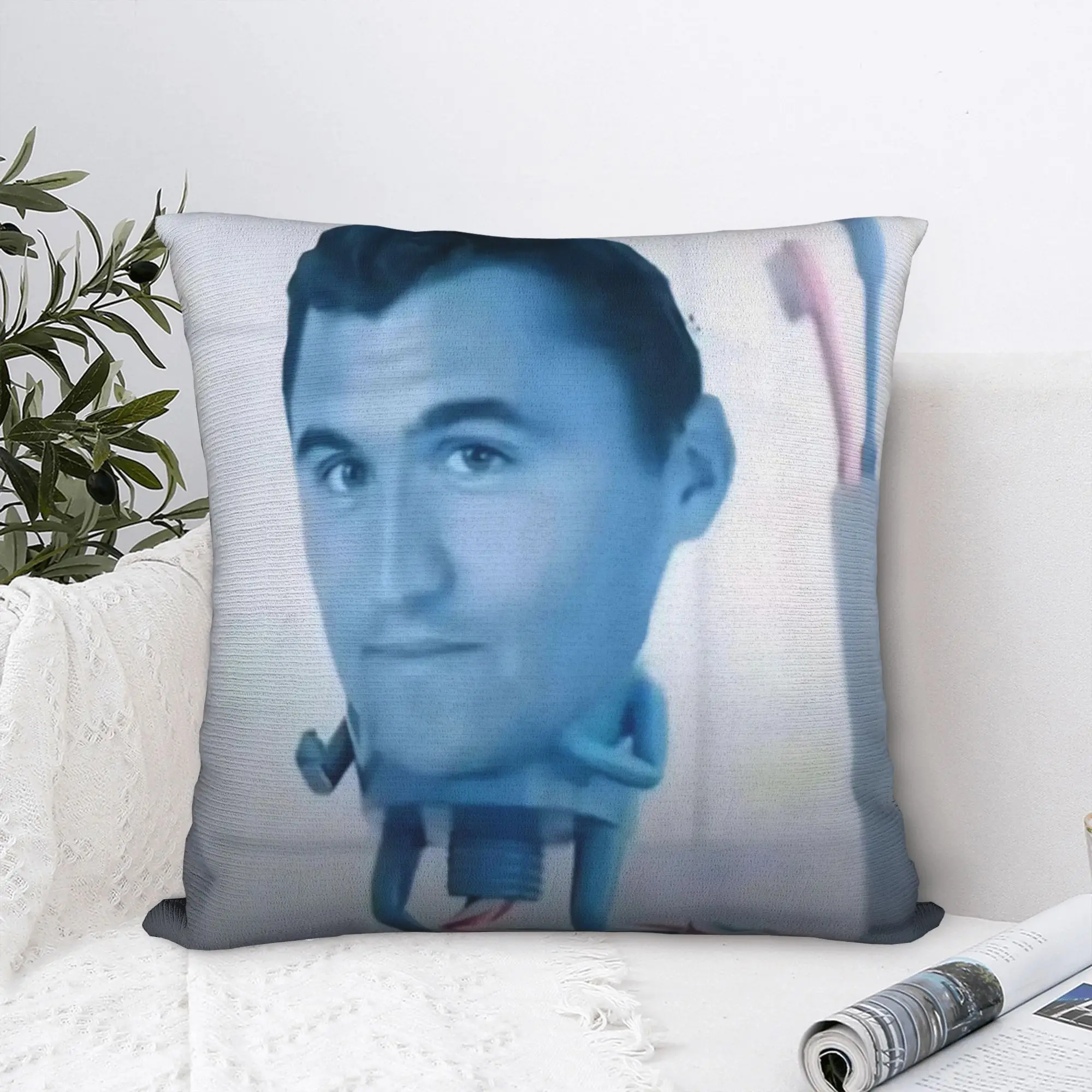 Stylish Sofa Charlie Kirk funny meme Decorations Pillowcase Merch  Pillow Covers Zippered Multi-Size