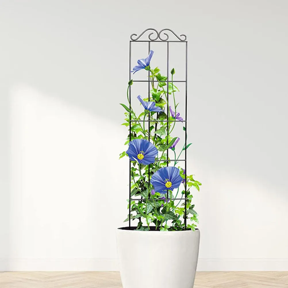 2個入り磨き上げ金属製植物クライミングラック、バリなし、快適なグリップ、屋内鉢植え植物用植物サポート、ガーデントレリス装飾