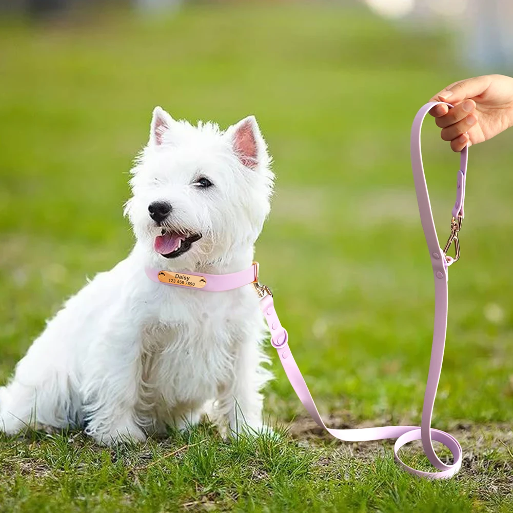 Customized Dog Collar Leash Set PVC Waterproof Dogs Cat Necklace Personalized Pet ID Collars With Lead Rope For Small Large Dogs