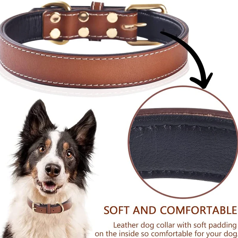 Genuine Leather Padded Dog Collar Comfortable Strong Soft Collars Best for Small Medium and Large Breed Dogs Brown color