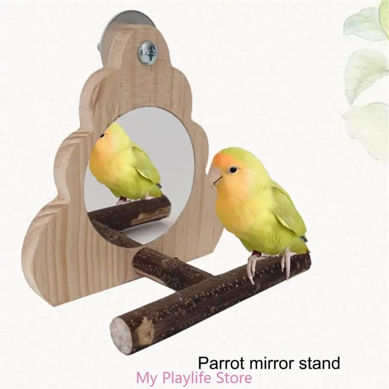 Parrots Perches Stand Solid Parrots Rest Platform Training Station Rack for Mental Stimulation