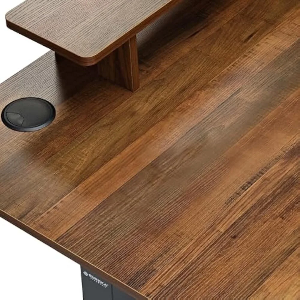 Electric Standing Desk,63 Inch Height Adjustable Desk with Dual Motor,Computer Desk with LED Lights & Double Shelves,