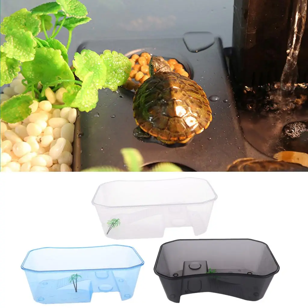 Translucent Plastic Reptile, , Turtle, Turtle, Tank, Nurseries, Terrariums, Box with Coconut Tree Ornament