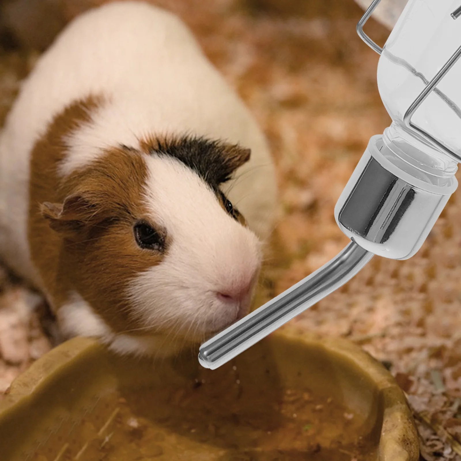 

2Pcs Pet Water Bottle Hanging Cage Feeder Vertical Design Fast Install Leak Proof for Small Pets Rabbit Hamster Guinea Pig