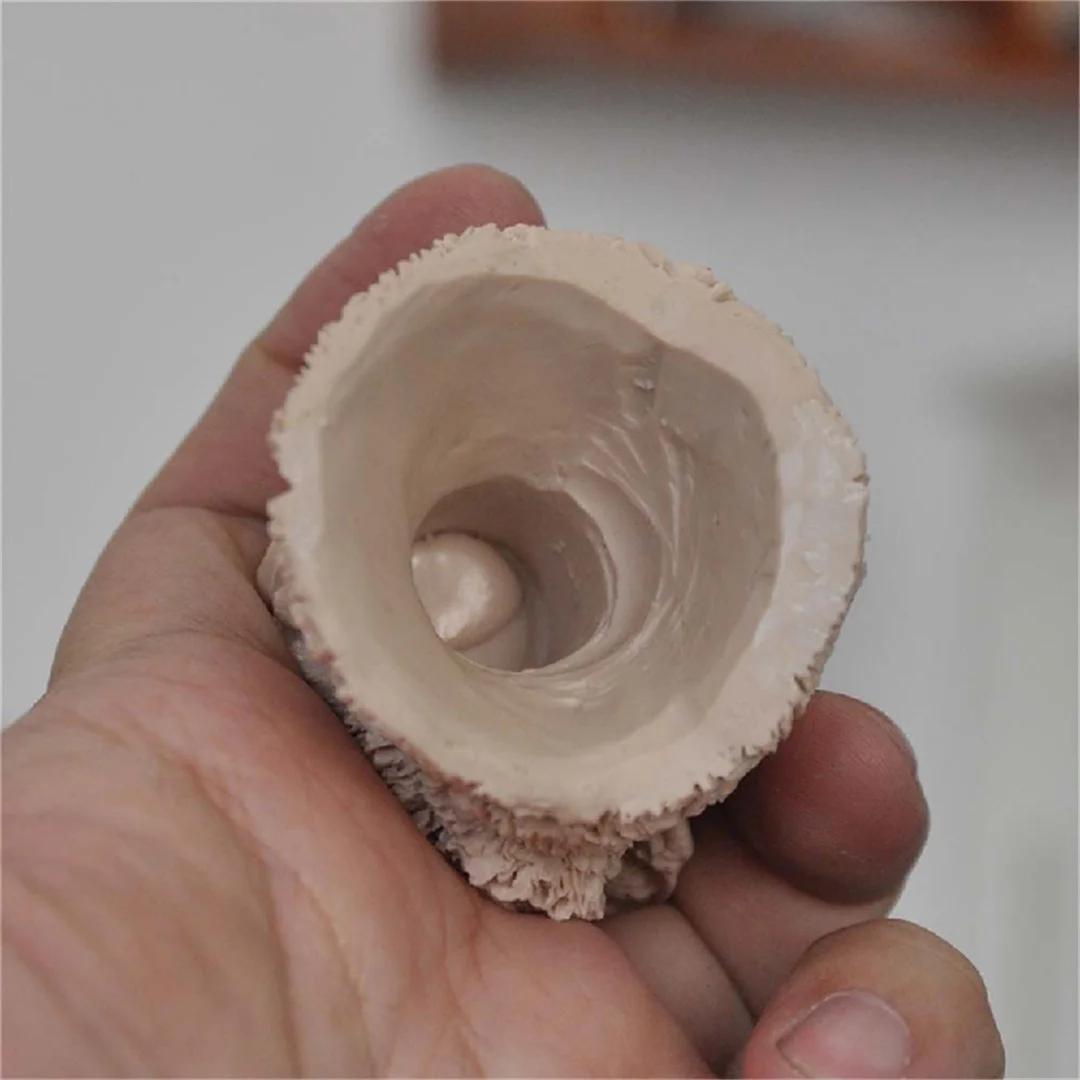 القط دمية غير مصبوغ ذكر رئيس نحت ستار الحيوانات الأليفة الجندي نماذج للحيوانات 1/6 مقياس عمل الشكل الجسم اللعب #6